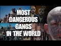 Most Dangerous Gangs in the world