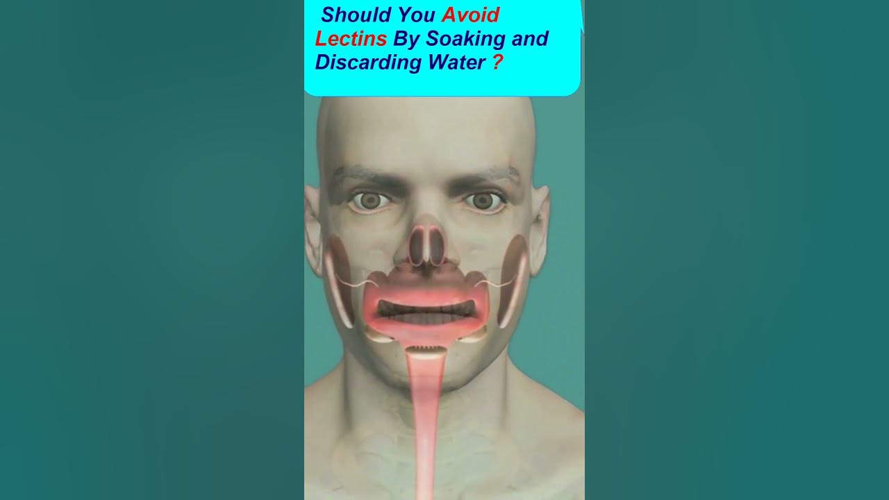 should-you-avoid-lectins-is-soaking-and-discarding-water-enough