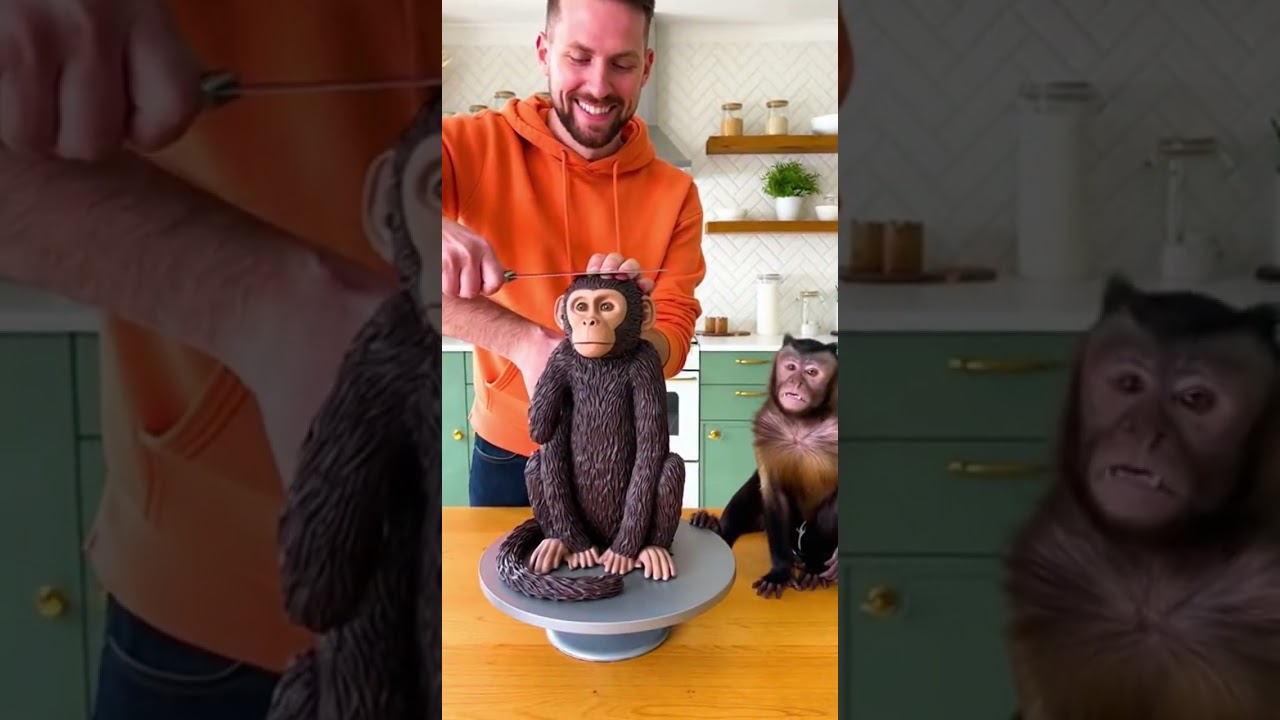 Monkey Covers His Face After Seeing a Cake That Looks Exactly Like Him! 🙈😱🐒 