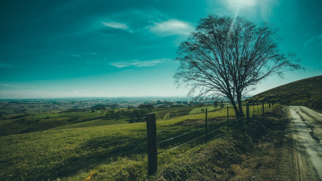 Drop and Roll   Silent Partner [Royalty free Music] ♫♫♫