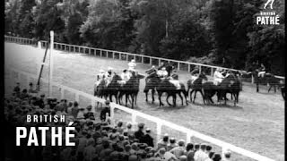 Wonder Horse (1952)