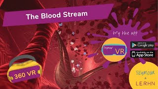 Swim Along the Arteries and Through the Heart as part of the Blood Stream in 360° VR