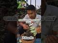 অ্যাডেনিয়ামের গ্রোথ থেমে গেছে?🌳❌ #youtubeshorts #shortvideo #gardening #adenium #shorts #flowers