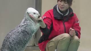 6月を迎えたメイちゃんキラちゃん - YouTube