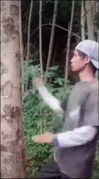 mentahan pukul pohon