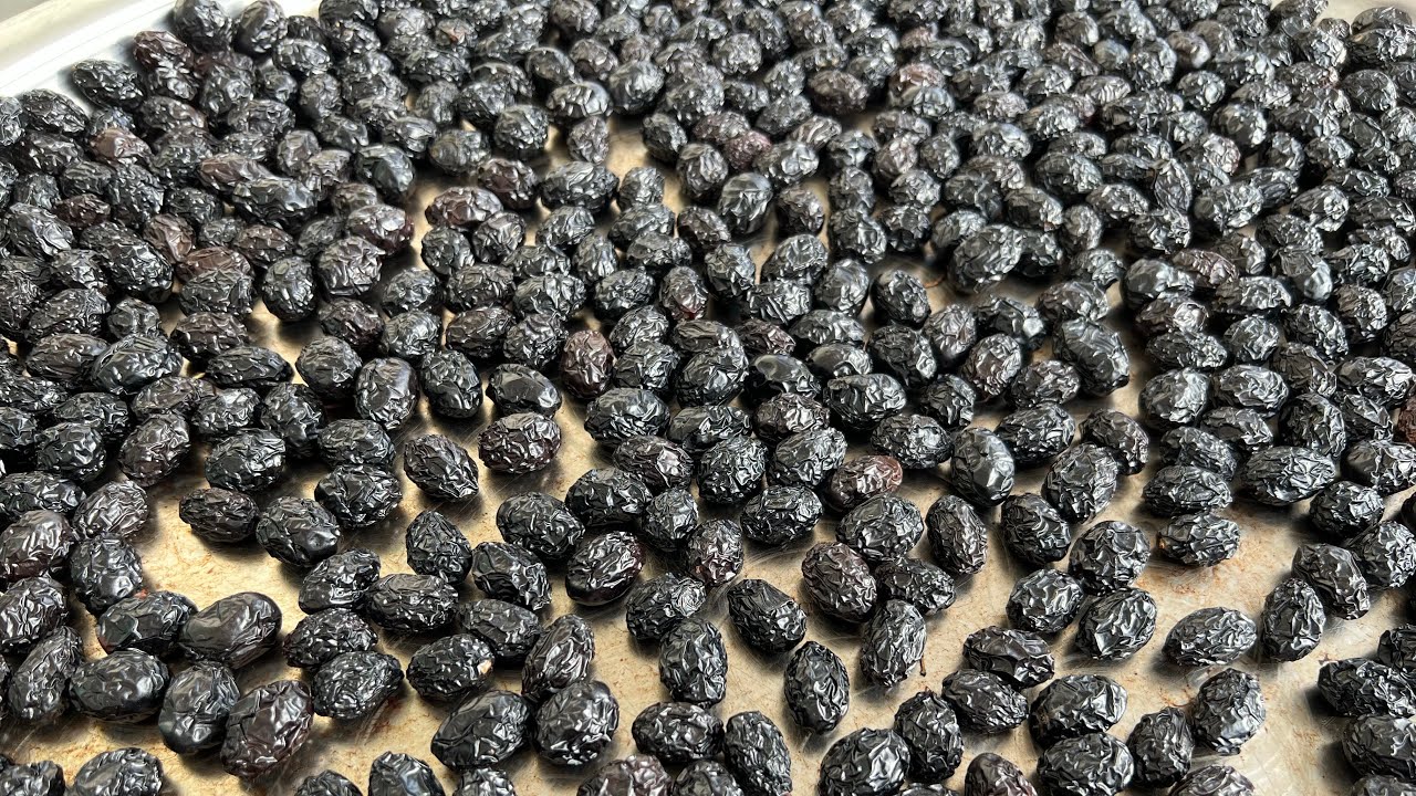 Çatalın varsa hemen yap bu zeytini 🤫Görümcemin salamura zeytin tarifi ♥️