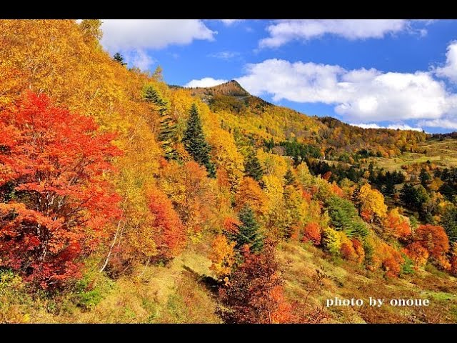 紅葉に染まる高山村の山田牧場 15 4k撮影 Youtube