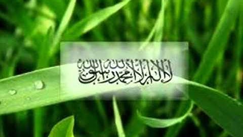 آواخر سورة النازعات