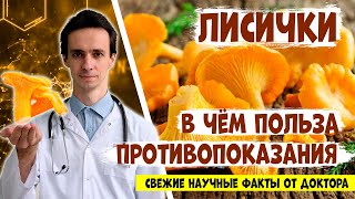 ЛИСИЧКИ: народная медицина и официальные исследования. Свежие научные факты от доктора