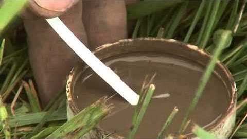 Soil Nitrogen Testing