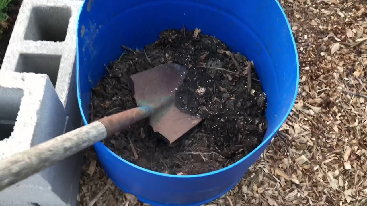 Composting while growing Sweet Potatoes from store bought sweet potatoes. Controlling