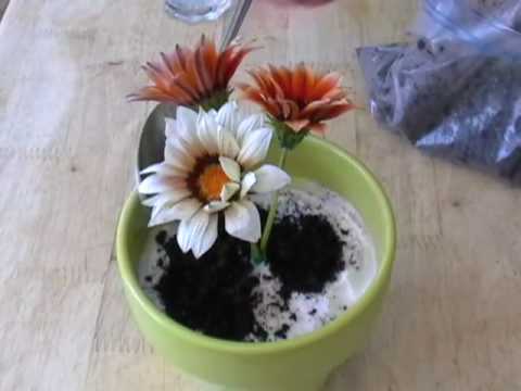"Potted Plant" Ice Cream Cake - Mother