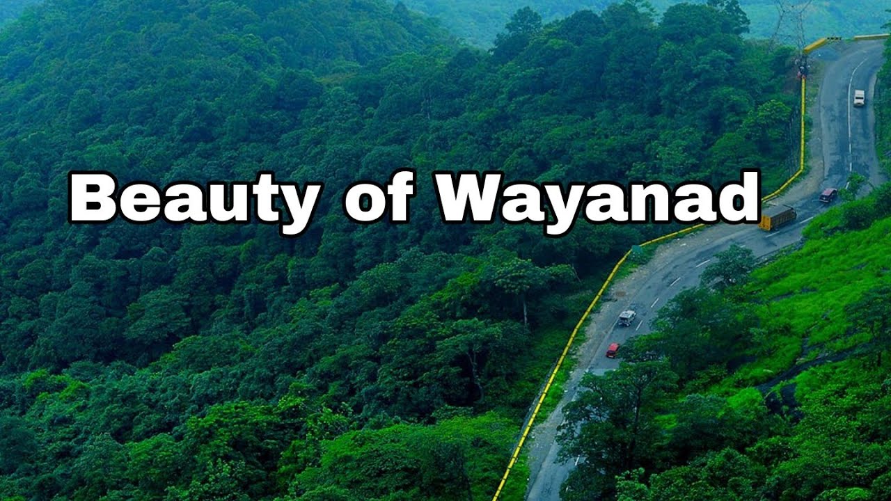 Wayanad tourist places distances between cities how to sports odds work