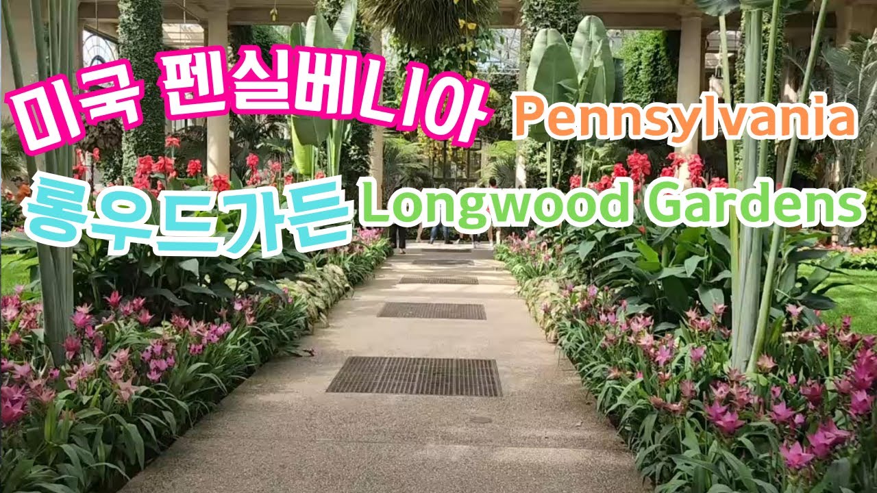 정원/롱우드가든/분수/미국펜실베니아/Longwoodgardens/ pennsylvania/Usa YouTube