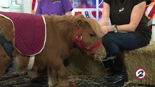 Habitat For Horses
