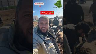 بارتاجي مشروع الجزائر الخضراء #اكسبلور