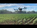 Fumigando con dron Nos llegó la tecnología a los agricultores