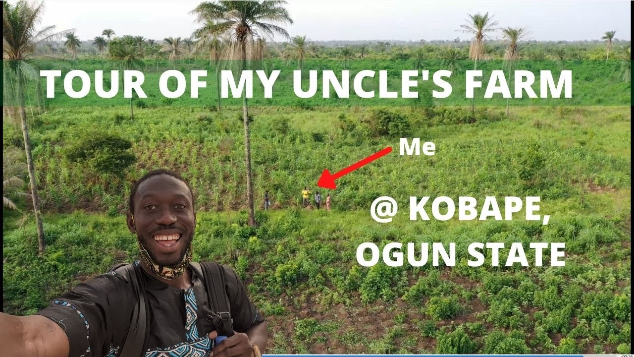 TOUR OF MY UNCLE"S FARM IN OGUN STATE, NIGERIA - ( Cassava, corn, yam
