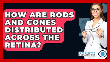 How Are Rods And Cones Distributed Across The Retina? - Optometry Knowledge Base