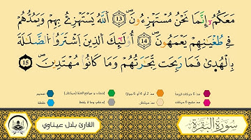 سورة البقرة إلى الآية 19 _ ورش بقصر البدل 🔹 مصحف معلم 🔸 القارىء الشيخ بلال عيناوي