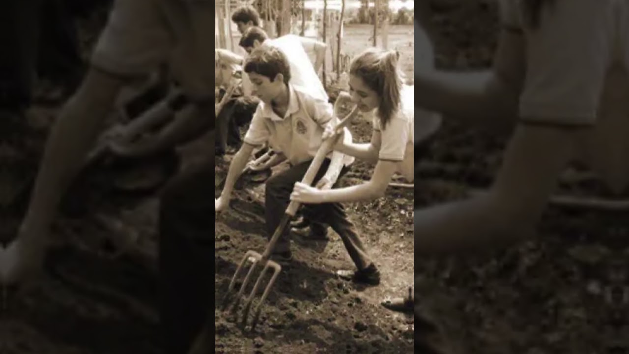 Leyendas de la educacion en Tamaulipas