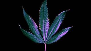 Wiseman - Wearerappers