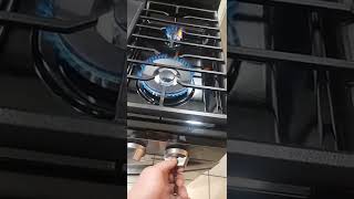 Samsung stove converted to propane