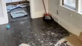 Landlord in Tears NO Insurance..Trashed Apt.  Tenant destroys property because she is asked to move
