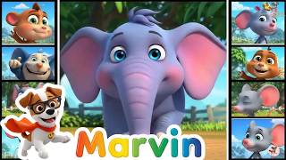 Tierliebe lernen mit Marvin! 🐶🐱 Sei nett zu den Tieren &amp; Fische Versteckspiel 🎵