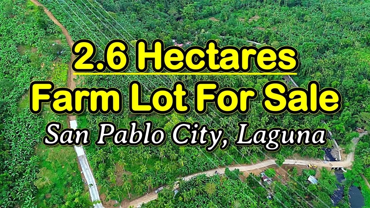 Продается земельный участок площадью 2,6 гектара (номер объекта 227), расположенный в городе Сан-...