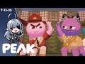 GEEGA and Friends Storm the PEAK