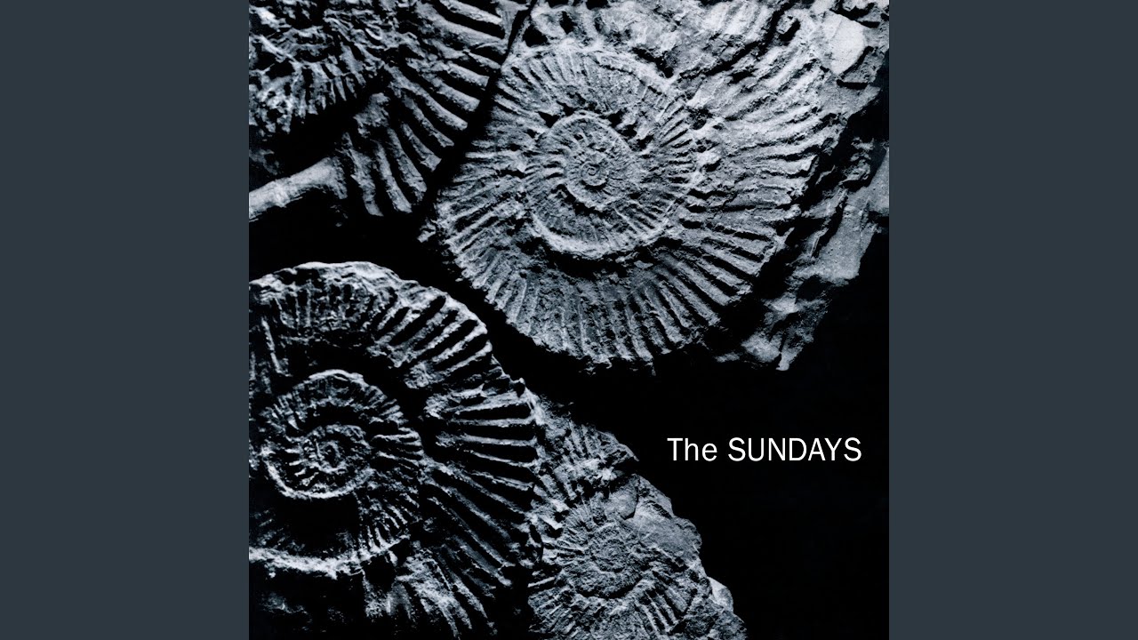 FEATURE: Their Finest Hour: The Sundays' Reading, Writing and