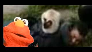 The Elmo Life
