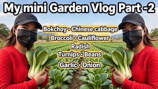 My mini Garden Vlog Part 2🥰💃🫛🥬🥦🫜