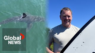 Nova Scotia man escapes unscathed after using paddle to repel shark
