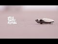 Velas Turtle Festival 2022 | Interview of Mohan Upadhyay