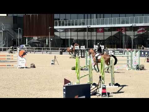 Neeson de Lis 135 CSI3* Opglabbeek