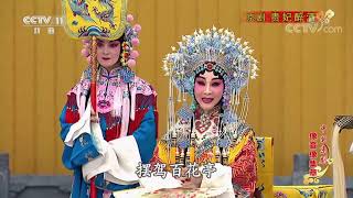 《中国京剧像音像集萃》 20200102 京剧《贵妃醉酒》| CCTV戏曲