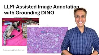 02-Text-Prompted Object Detection with Grounding DINO (Google Colab)
