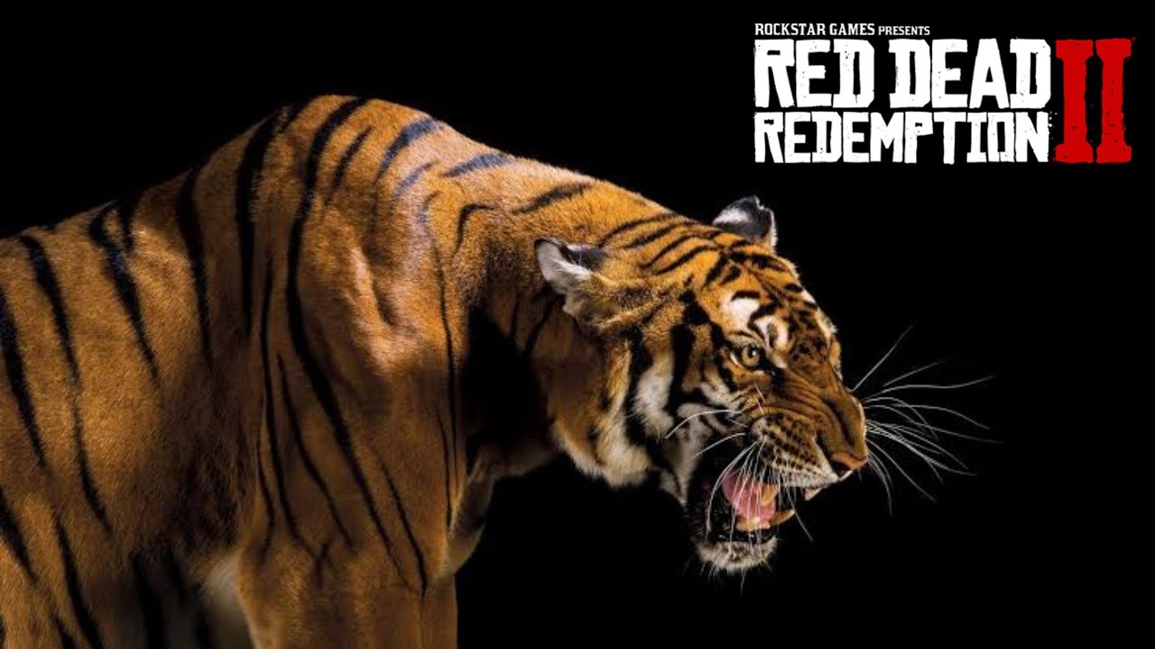 Tiger Rdr2 CAPTURANDO O TIGRE! - Red Dead Redemption 2 - YouTube