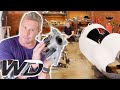 Ant Gets His Motor Ready While Fitting The Chassis Into The Car's Body | Ant Anstead Master Mechanic