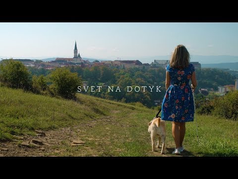 Video: Čo Nevidiaci Vidia? Fakty A Výskum