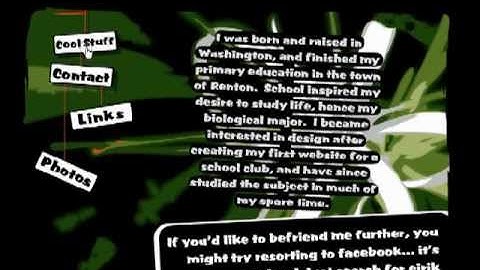 Video of Personal Flash Website