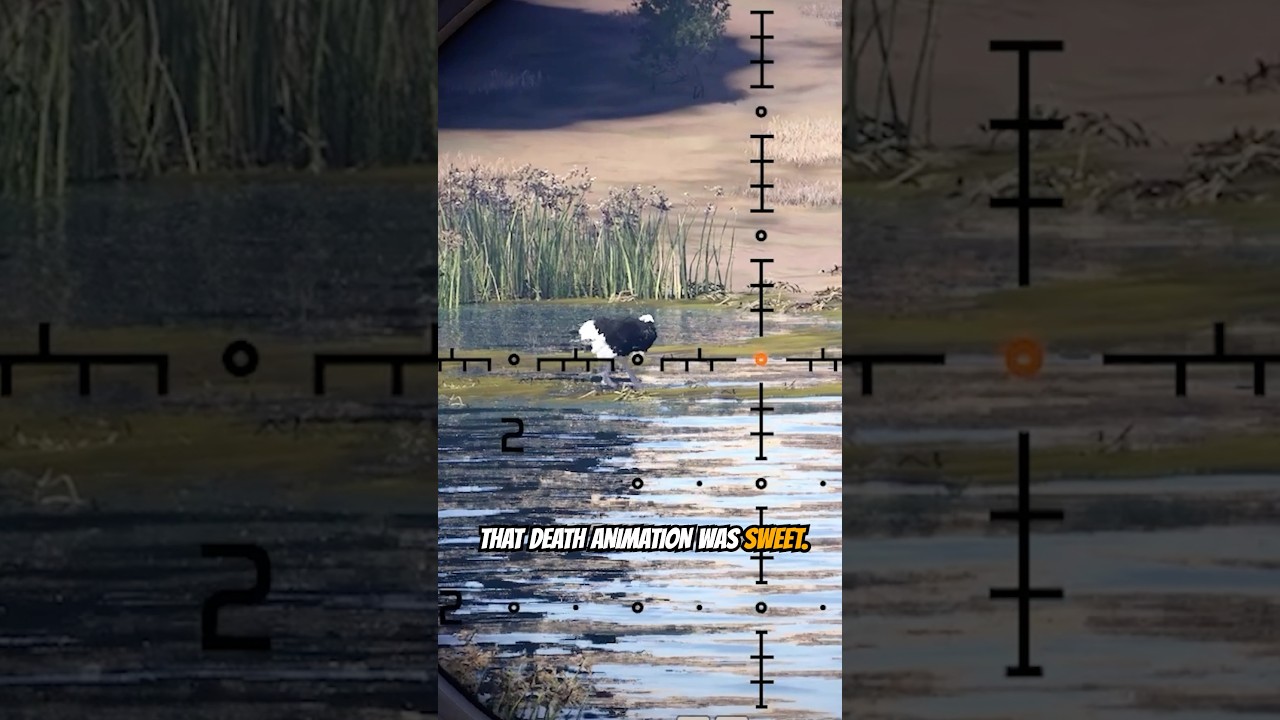 The Ostrich Death Animations are AWESOME! #wayofthehunter #woth2 #huntinggame