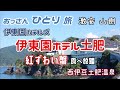 【伊東園ホテルズ】海沿いの伊東園の山側に激安で泊まって蟹食べ放題を楽しんできた【西伊豆】