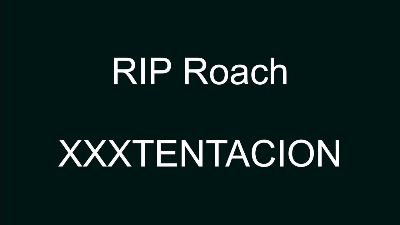 Rip песня текст. P. Перевод песни rip roach. Rip песня текст. Off on песня.
