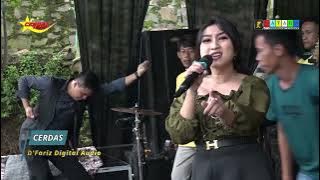 Lukisan Cinta || Voc Erna Sari || Cerdas Musik || D,Fariz Audio