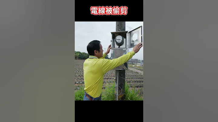 電線被偷剪！小偷還是職業的 ？#水電爸爸 #shorts - 天天要聞