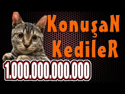 Konuşan Kediler 100000000000 - En Komik Kedi Videoları