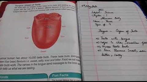 Class:3rd| Science | Unit: 01|Topic:Tongue (part-1)|WSS E -Learning